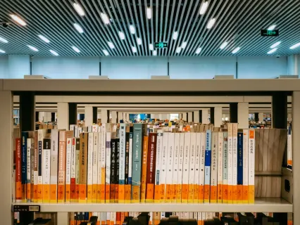 Slottio Kasino Mobilní aplikace